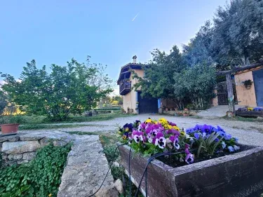 Finca Josentonio