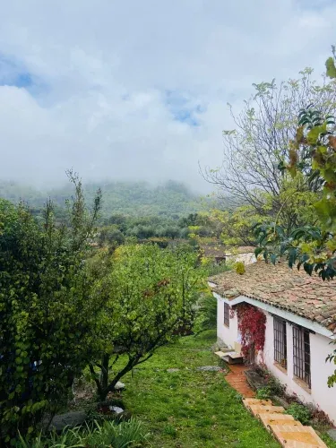 La Casa de Cadia 2 