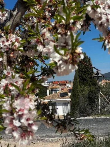 Finca El Olivar