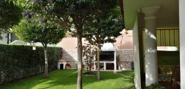 El Olivo