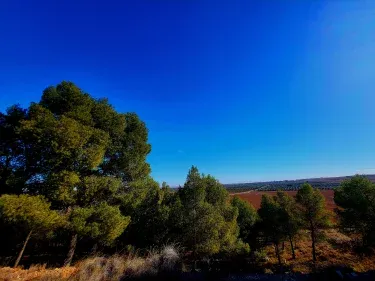 Casa rural al Sol de las Ruinas