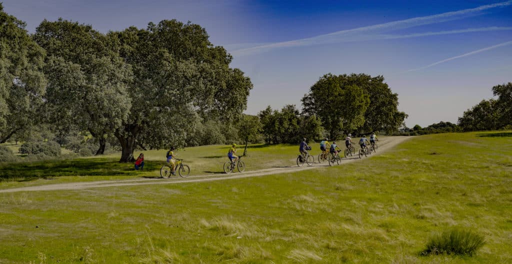 Los campos y las dehesas de Cáceres son ideales para pedalear. Por Javier Flores