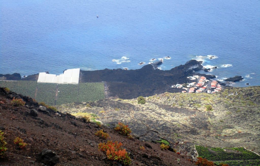 Cultivos de plátano en la nueva costa volcánica que creció tras la erupción de 1971