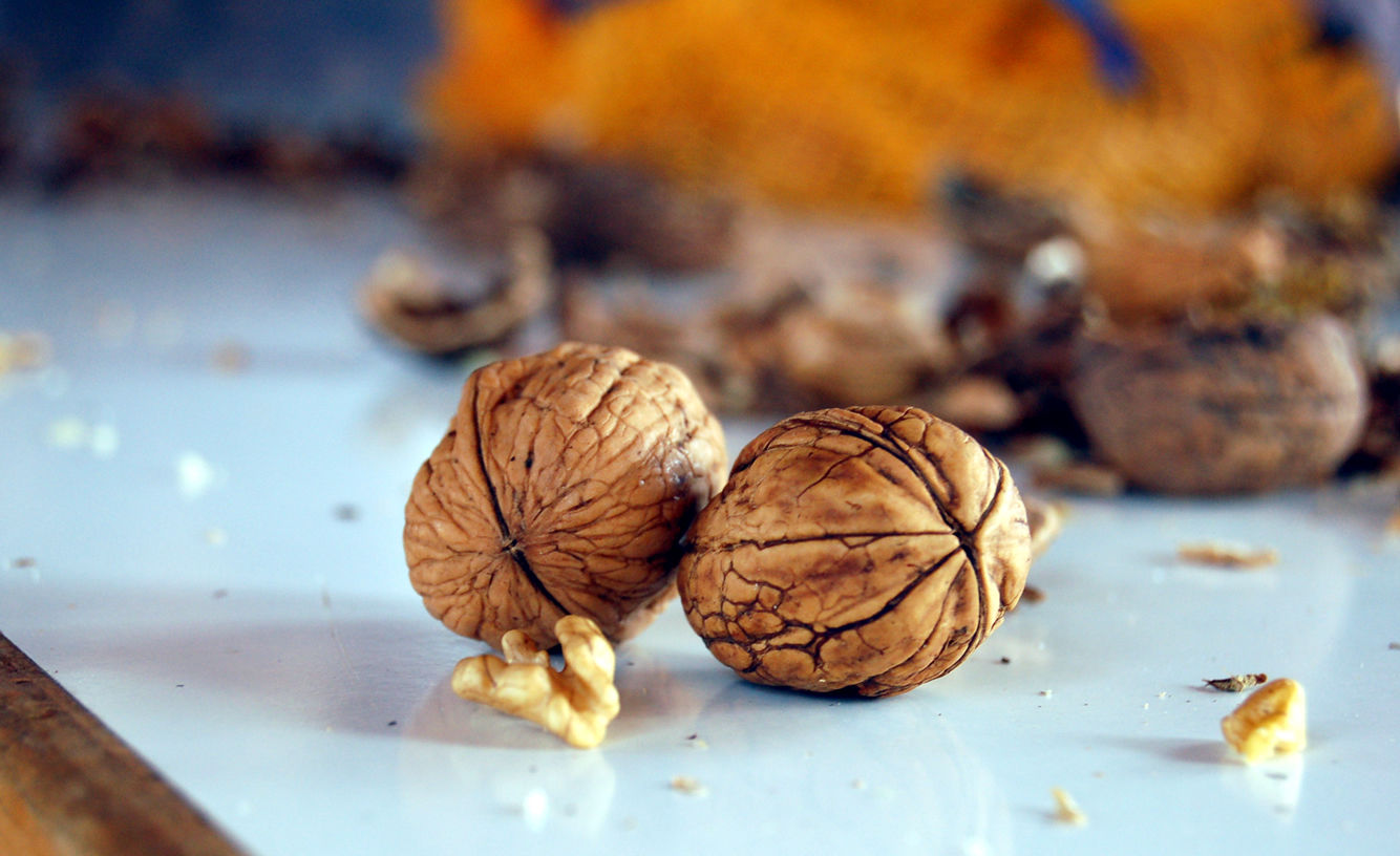 la cascara de nuez para que sirve