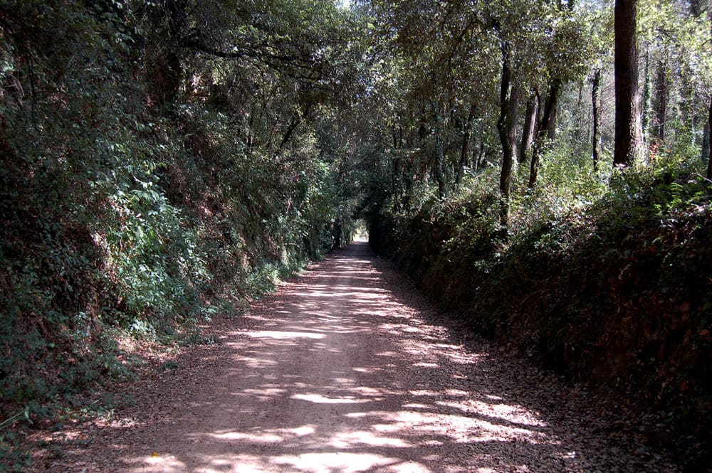 Ruta del Carrilet