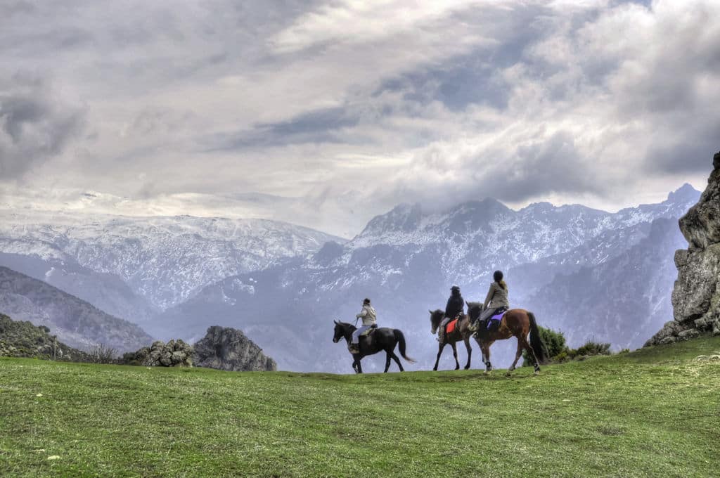 Sierra Nevada a caballo