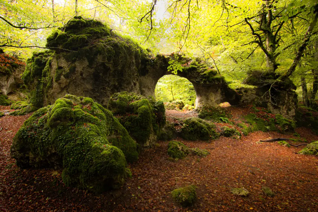 Bosque de Urbasa (Navarra)
