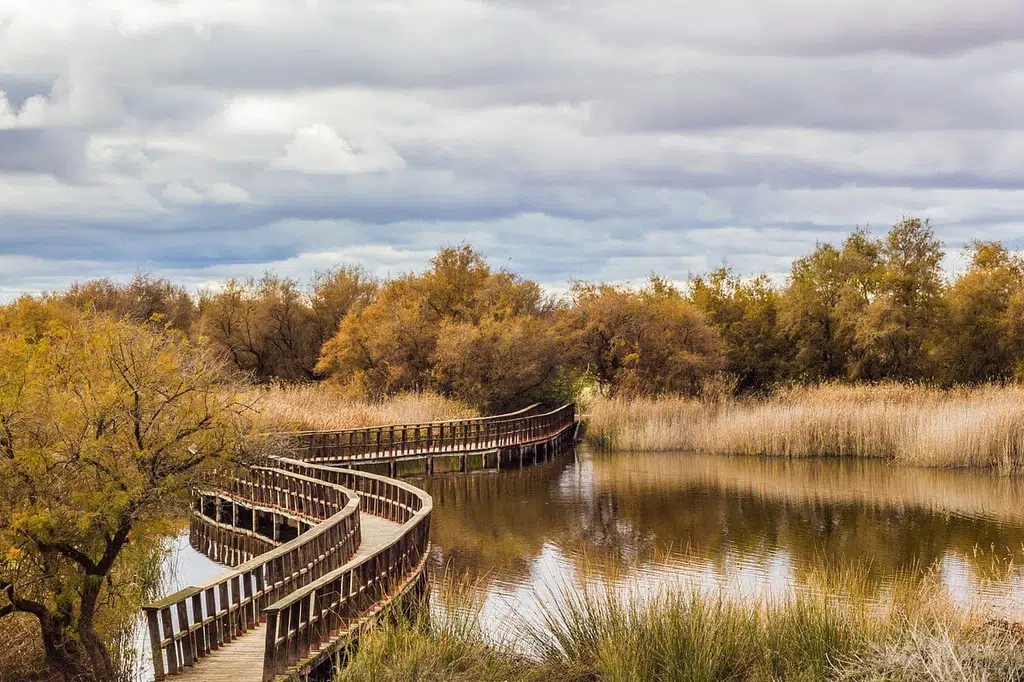 2. Parque Nacional Tablas de Daimiel (Ciudad Real)