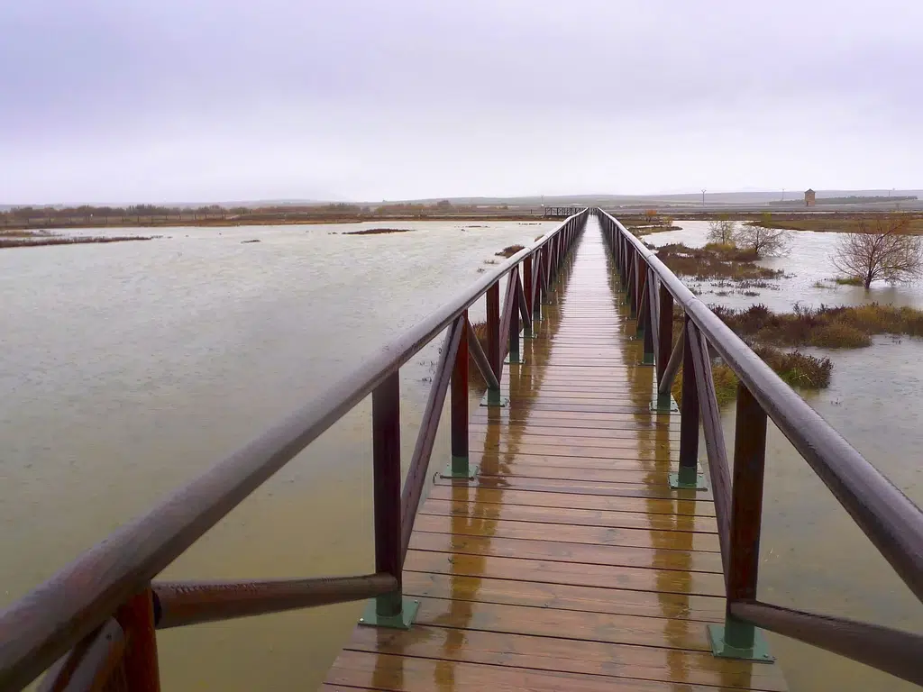 5. Reserva de la Laguna de Fuente de Piedra (Andalucía). Por david Salcedo