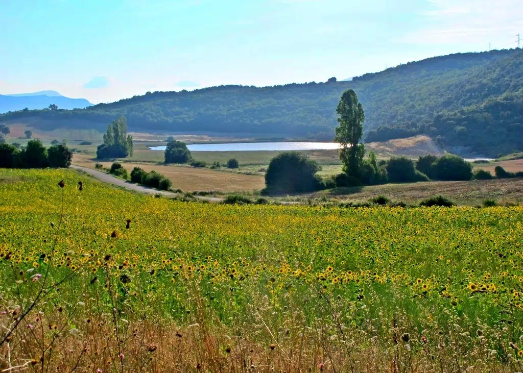 Lago de Caicedo-Yuso (Álava). Por AntonVe