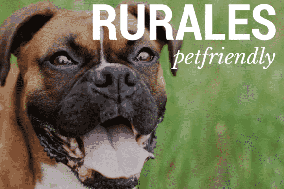 7 casas rurales Pet Friendly. ¡No los dejes en casa!