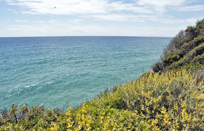 Playa de la Mora