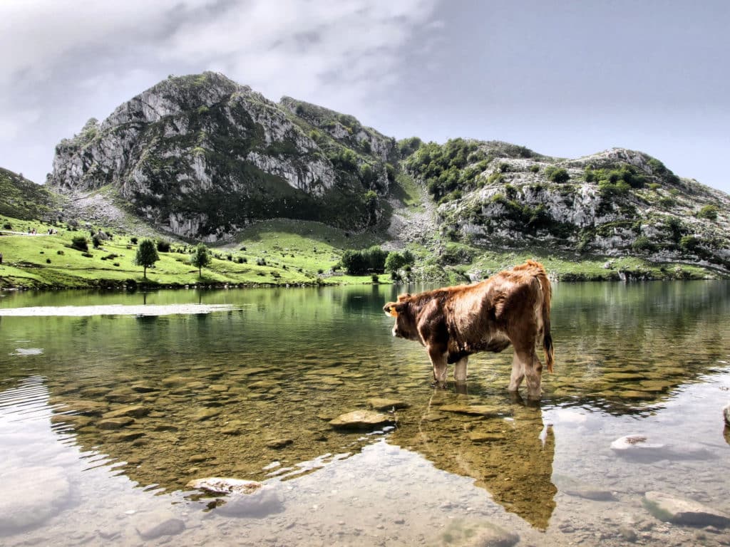 Lago Enol