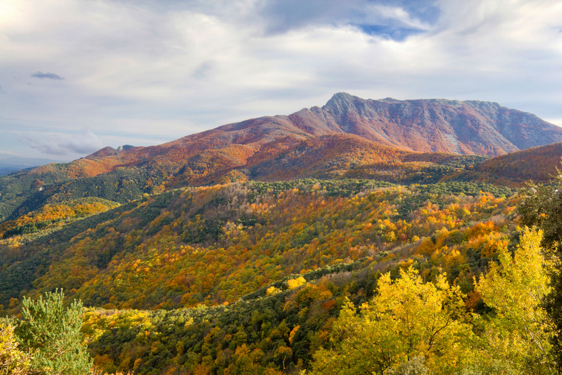 5 ideas para escaparse al Montseny, el oasis natural más cerca de Barcelona