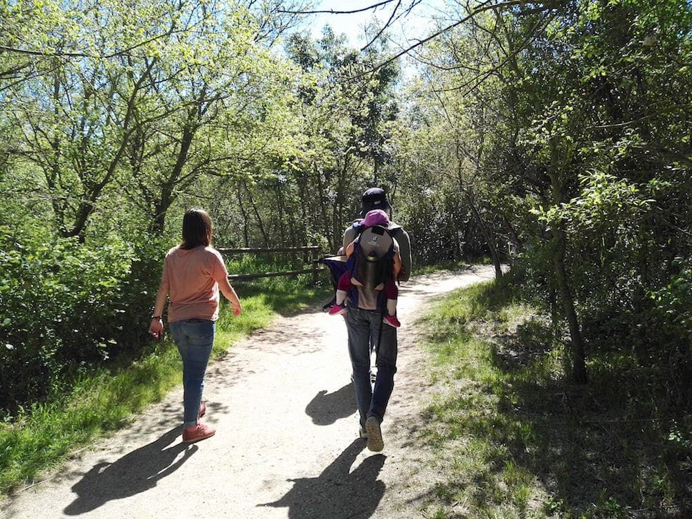 Niños en el campo