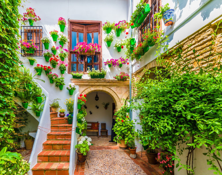30 Fotos para enamorase de los patios de Córdoba