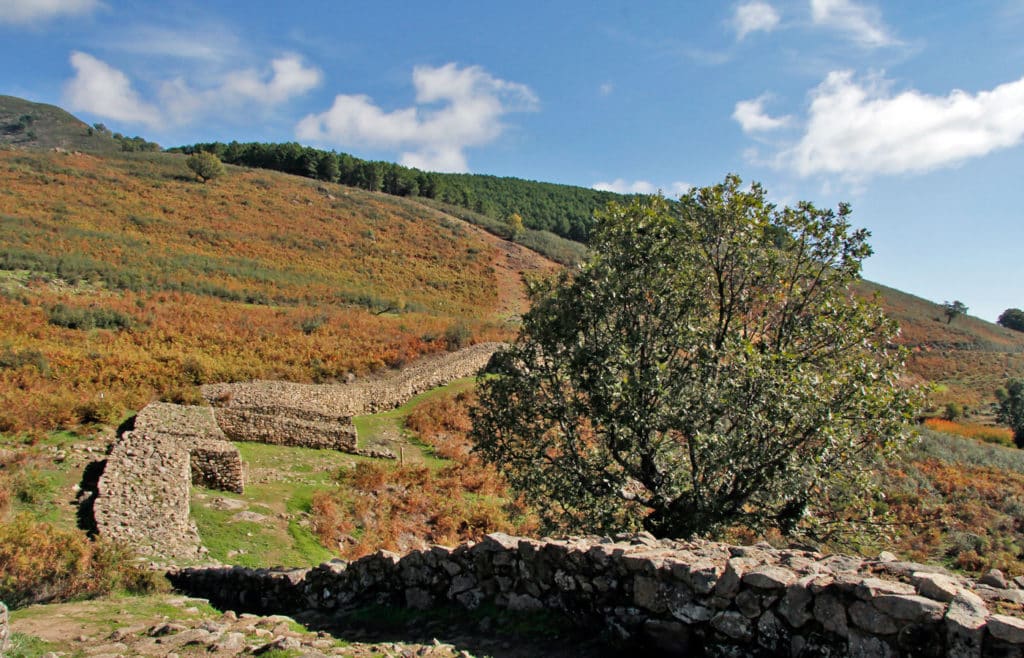 Candeleda, Gredos