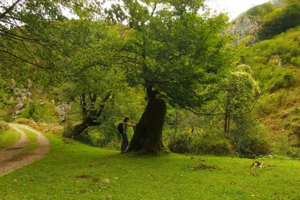 Beyu Pen, la ruta mitológica en Asturias para recorrer con niños