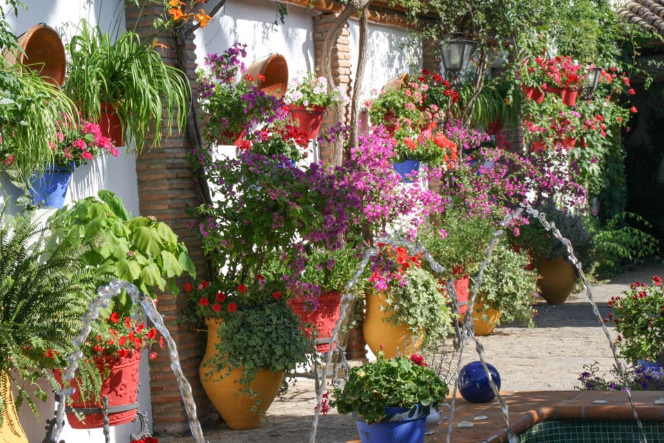 Patio de Anselmo