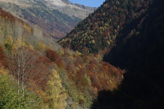 Valle de Varradòs