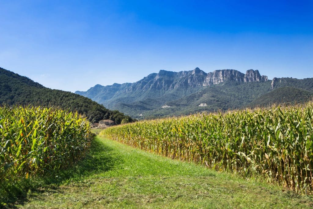 La Garrotxa