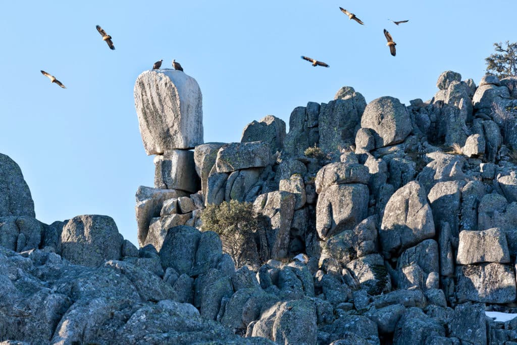 Sierra de la Cabrera