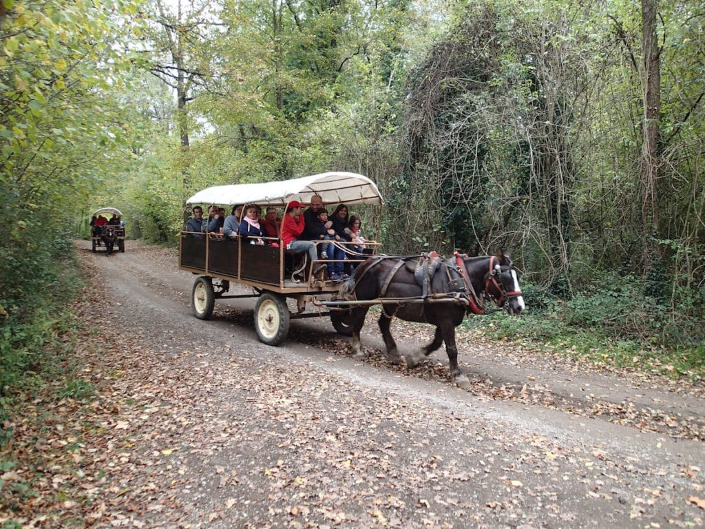 Santa Pau