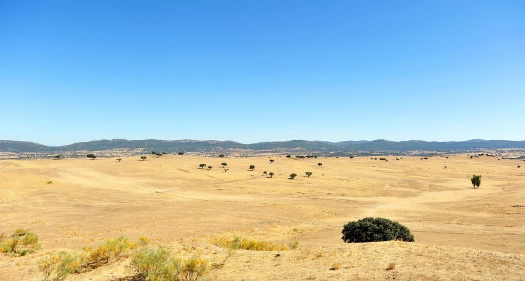 Real, la sabana española