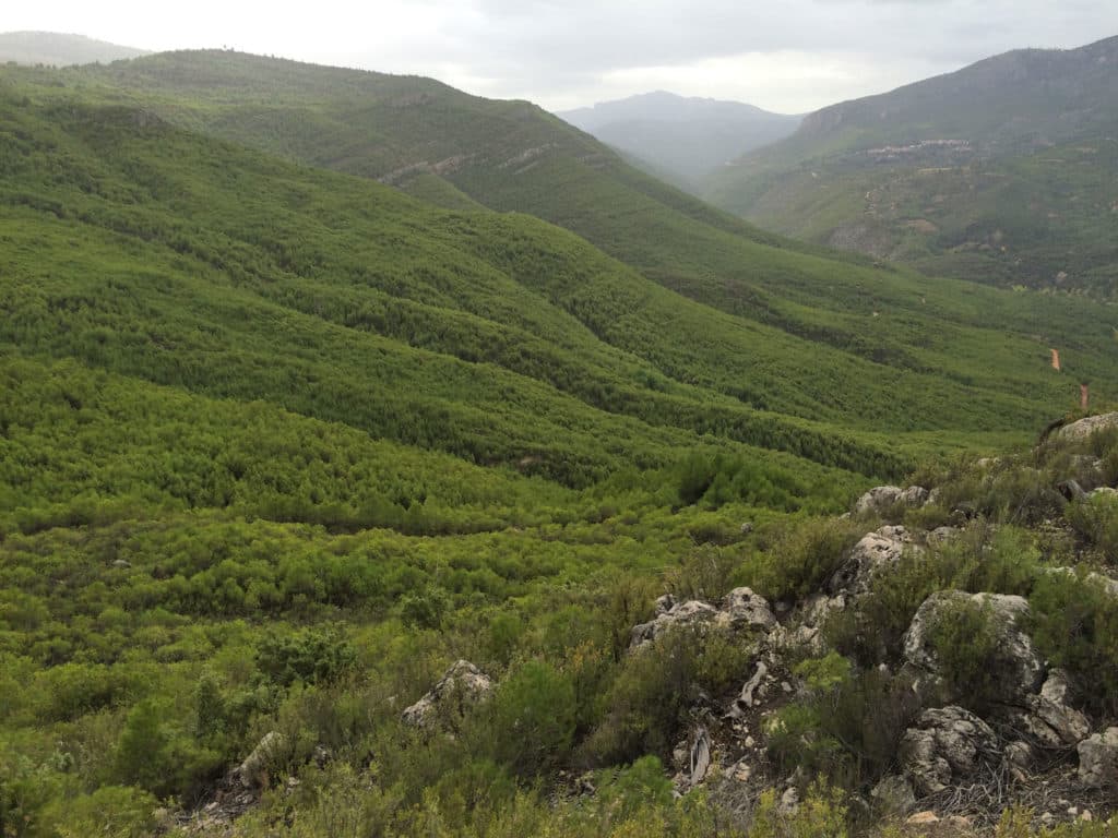 Serranía de Yeste