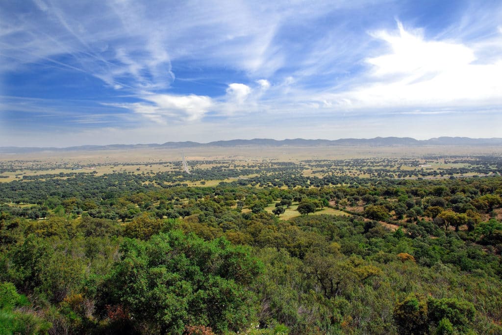 Valle de Alcudia