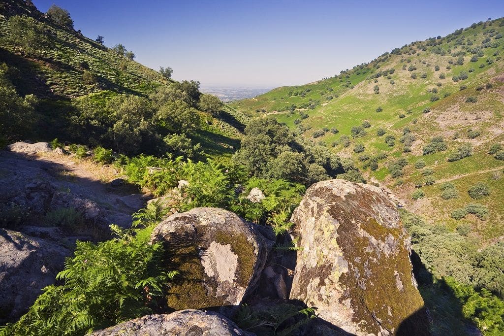 Sierra de Gredos
