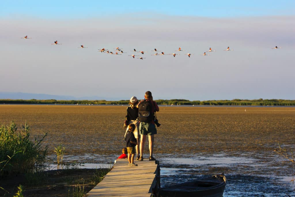 Delta de l'Ebre