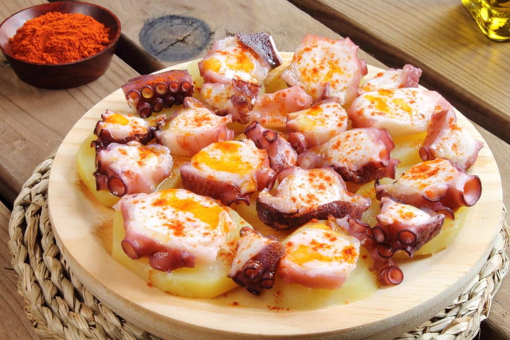 Pulpo
