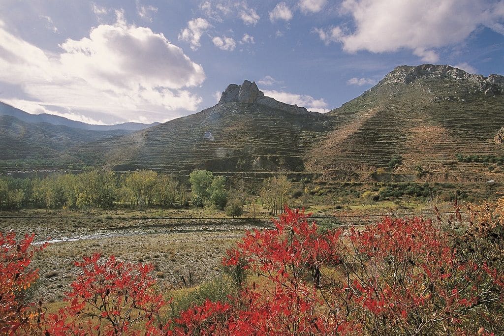 Valle del Cidacos