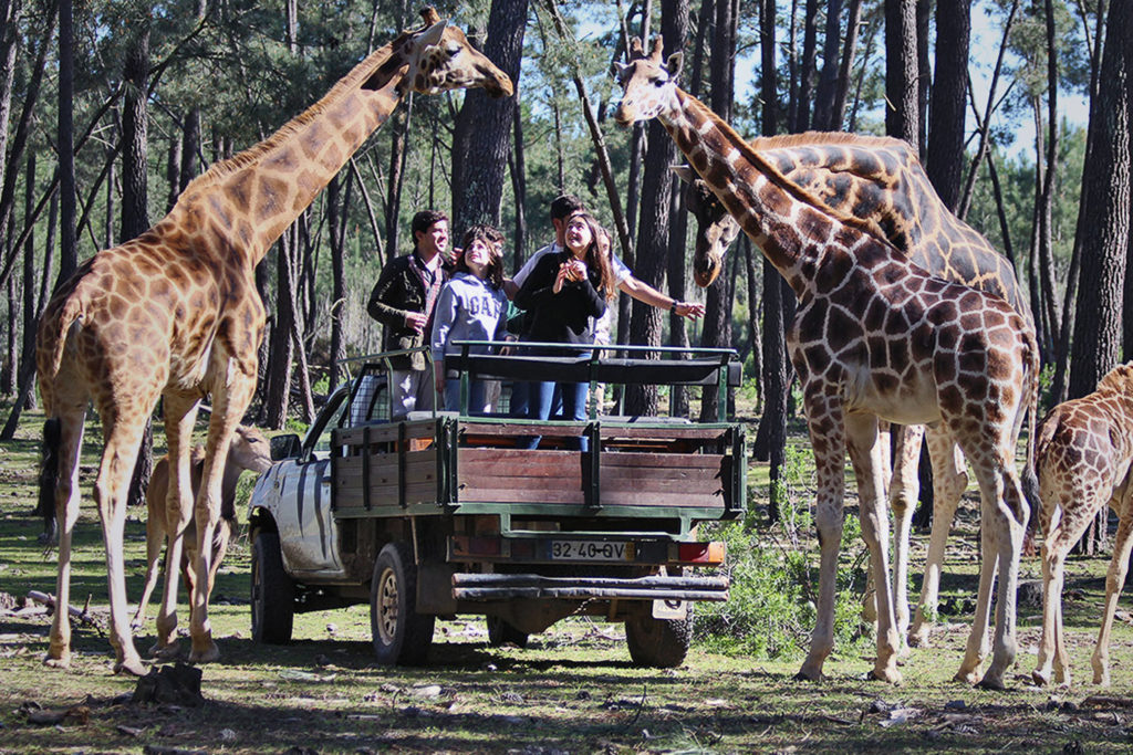 Badoca Safari Park