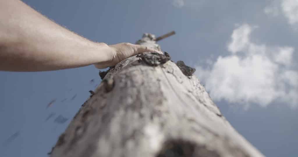 Bosque de las cruces