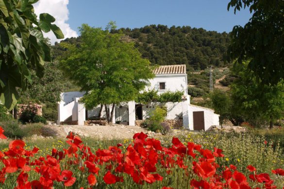 El viajero internacional elige Andalucía para hacer turismo rural