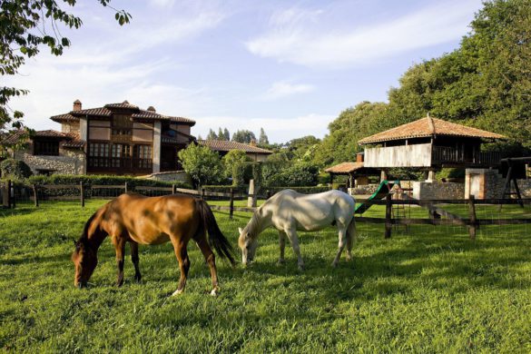 Asturias y Murcia, los favoritos para hacer turismo rural