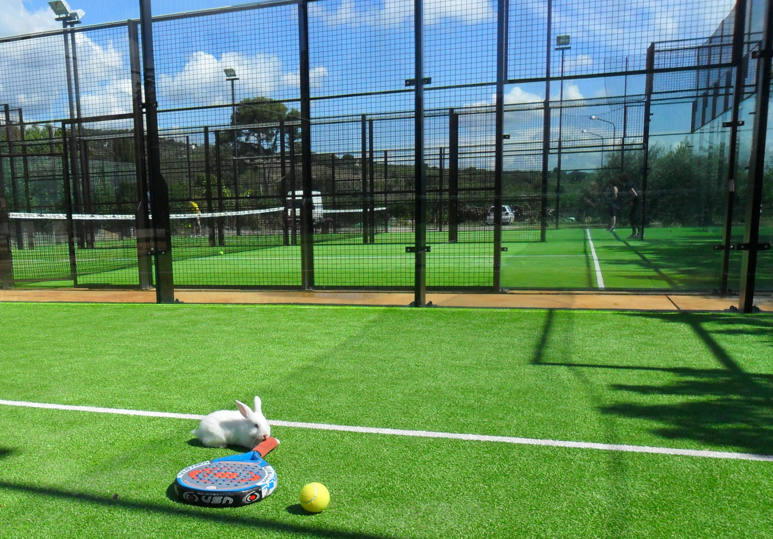 Cuanto Cuesta Mantener Una Pista De Pádel Casas rurales con pista de pádel