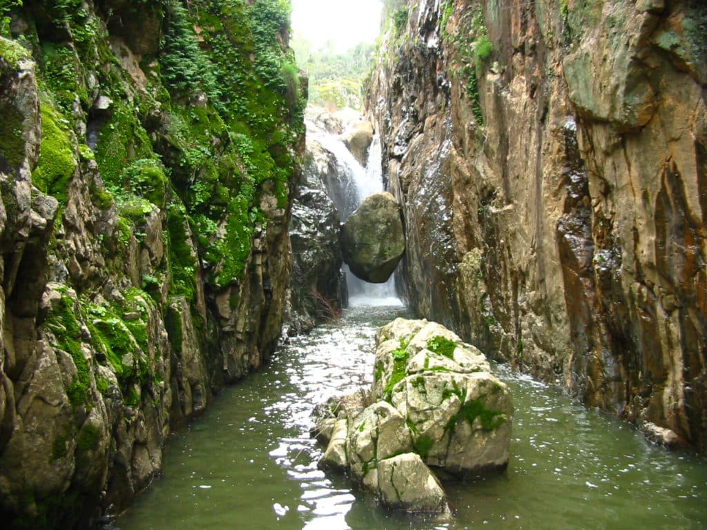 Piscinas naturales en Sevilla: Charca del Risco, Sevilla