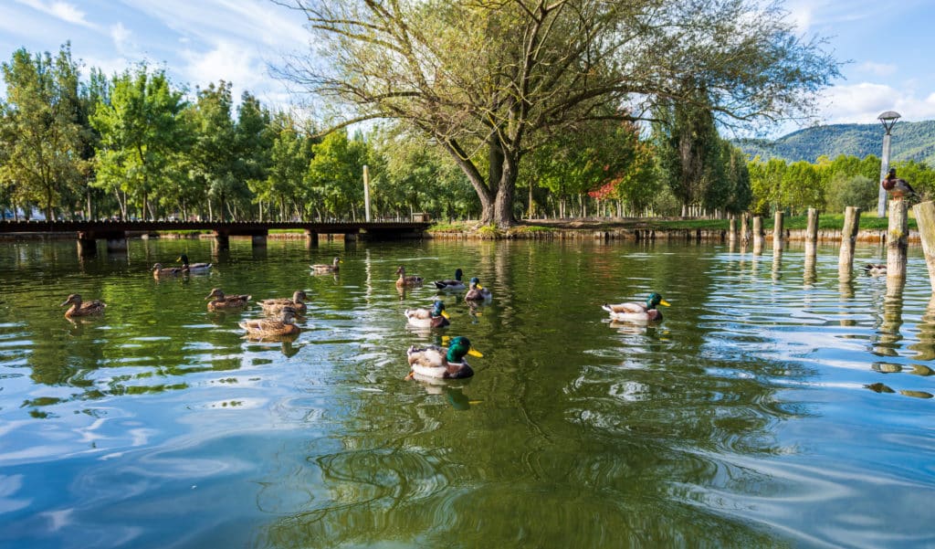 Banyoles