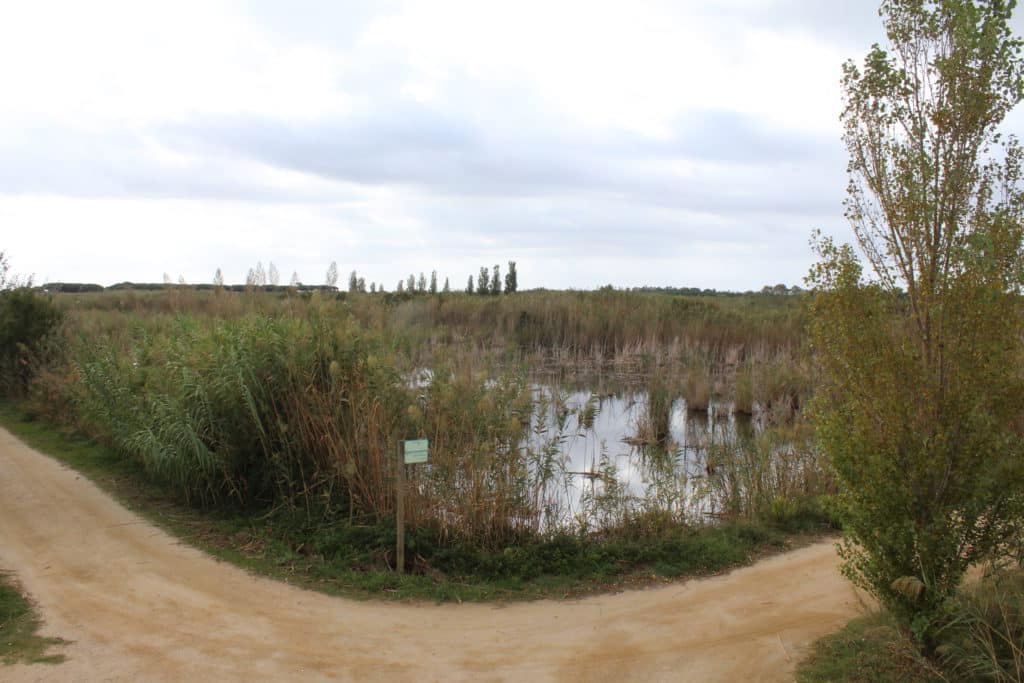 Delta del Llobregat