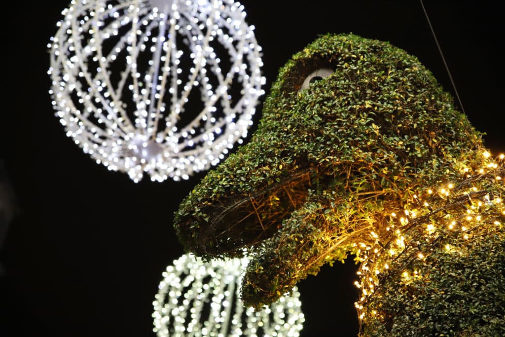 iluminación navideña en Vigo con el dinoseto en primer plano, arte topiario, jardinería