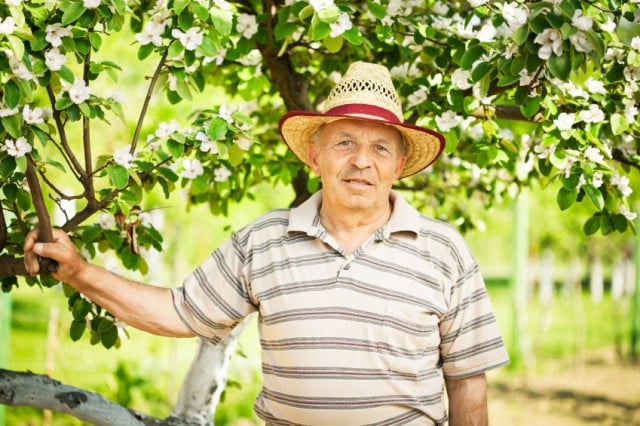 Los propietarios vascos, los más veteranos en el negocio del turismo rural