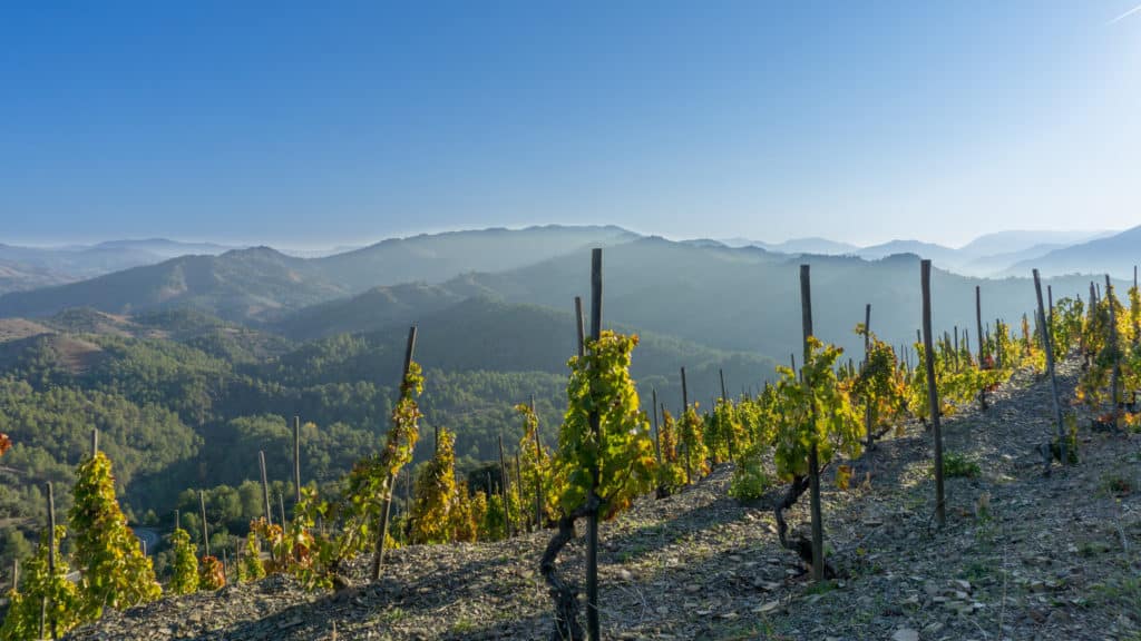 Mountains and vineyards in Priorat, Spain