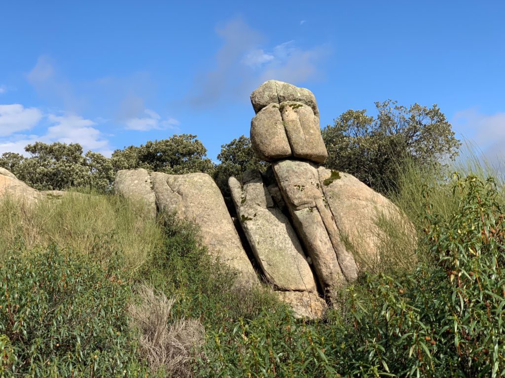 Subida al Pico de la Miel en La Cabrera