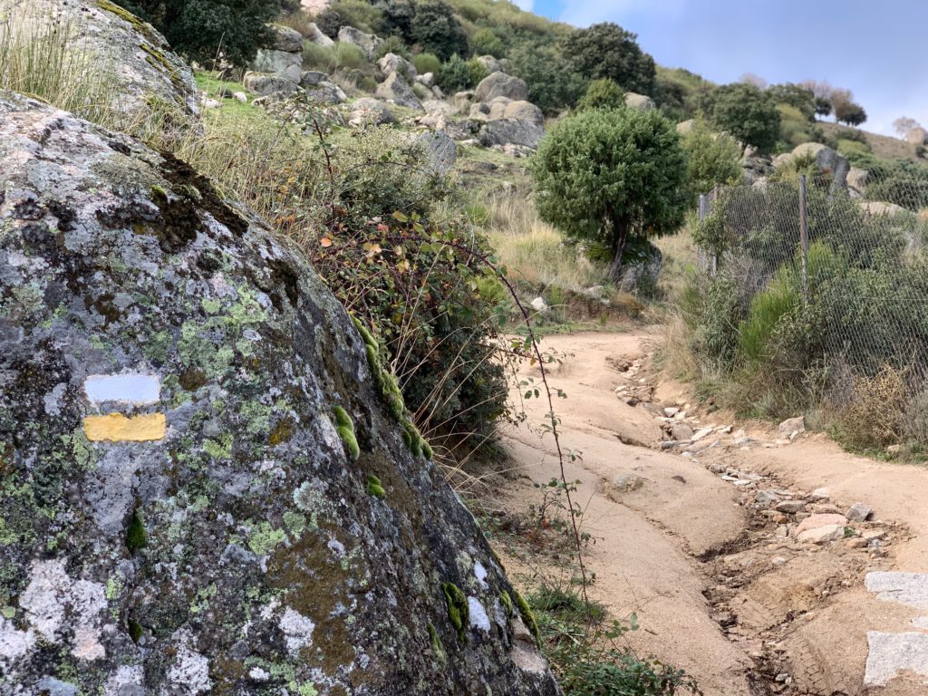 Subida al Pico de la Miel en La Cabrera