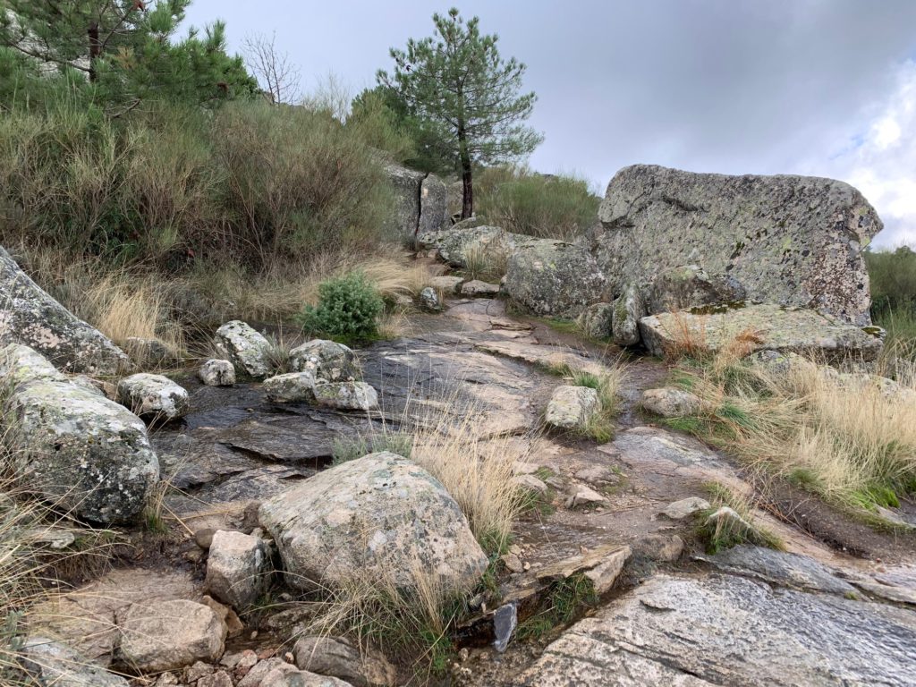 Subida al Pico de la Miel en La Cabrera