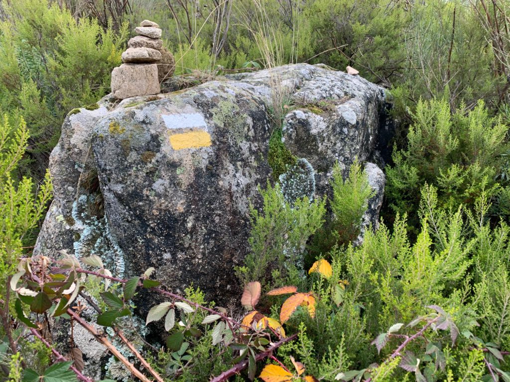 Subida al Pico de la Miel en La Cabrera