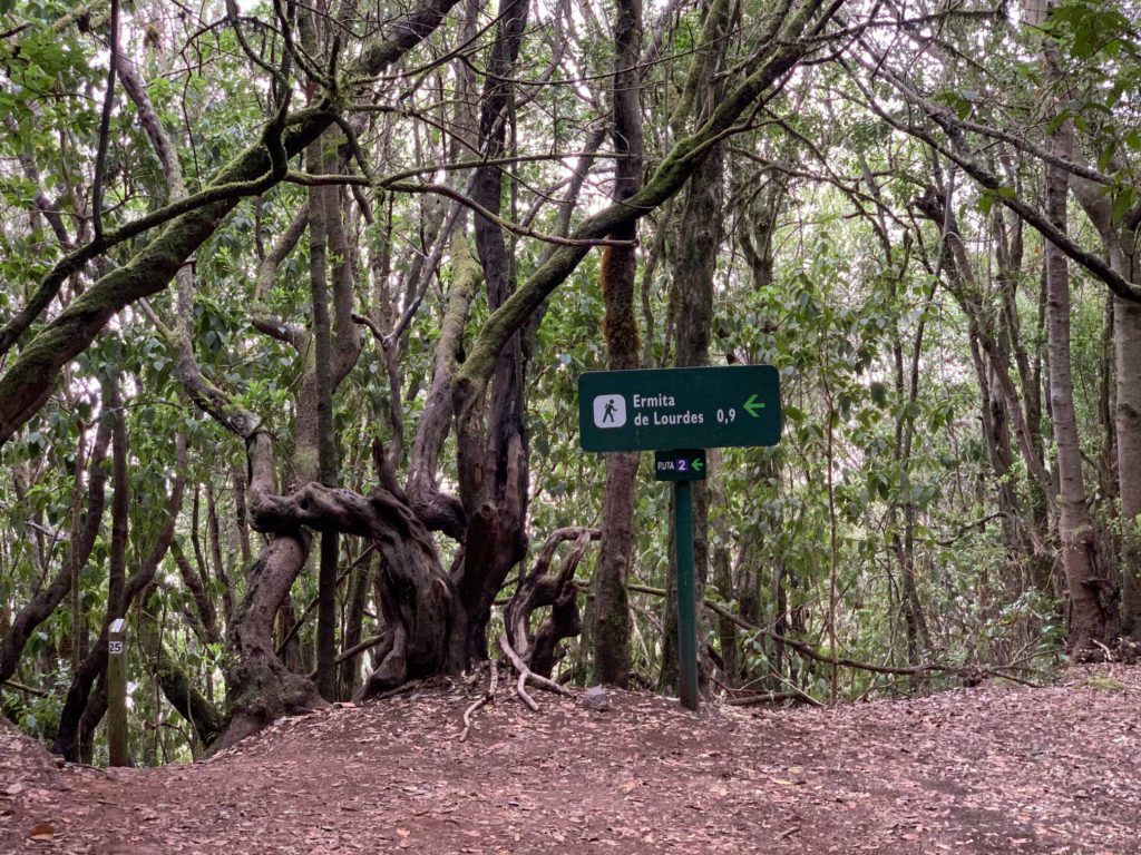 Ruta 2 del Parque Nacional de Garajonay